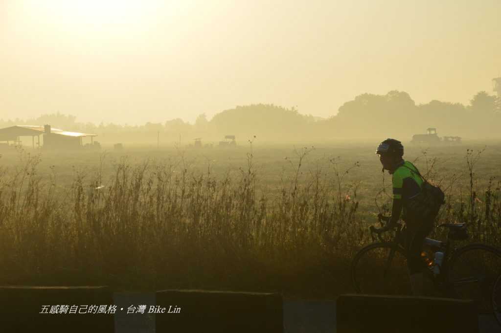 溪州公園清晨灑落金黃農野景象