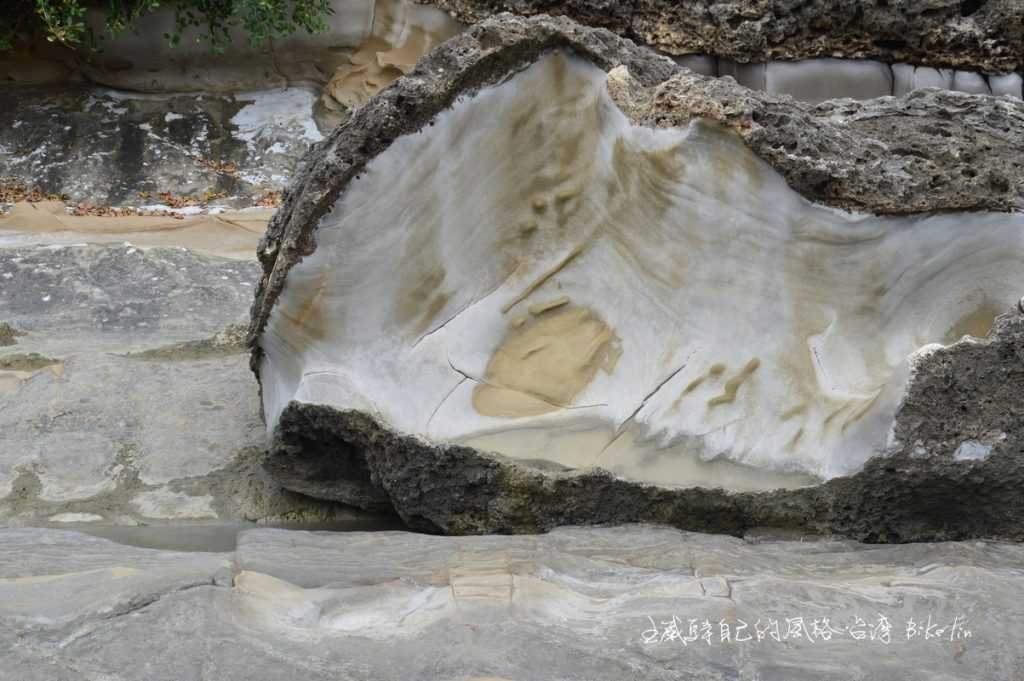 鮑魚殼岩石