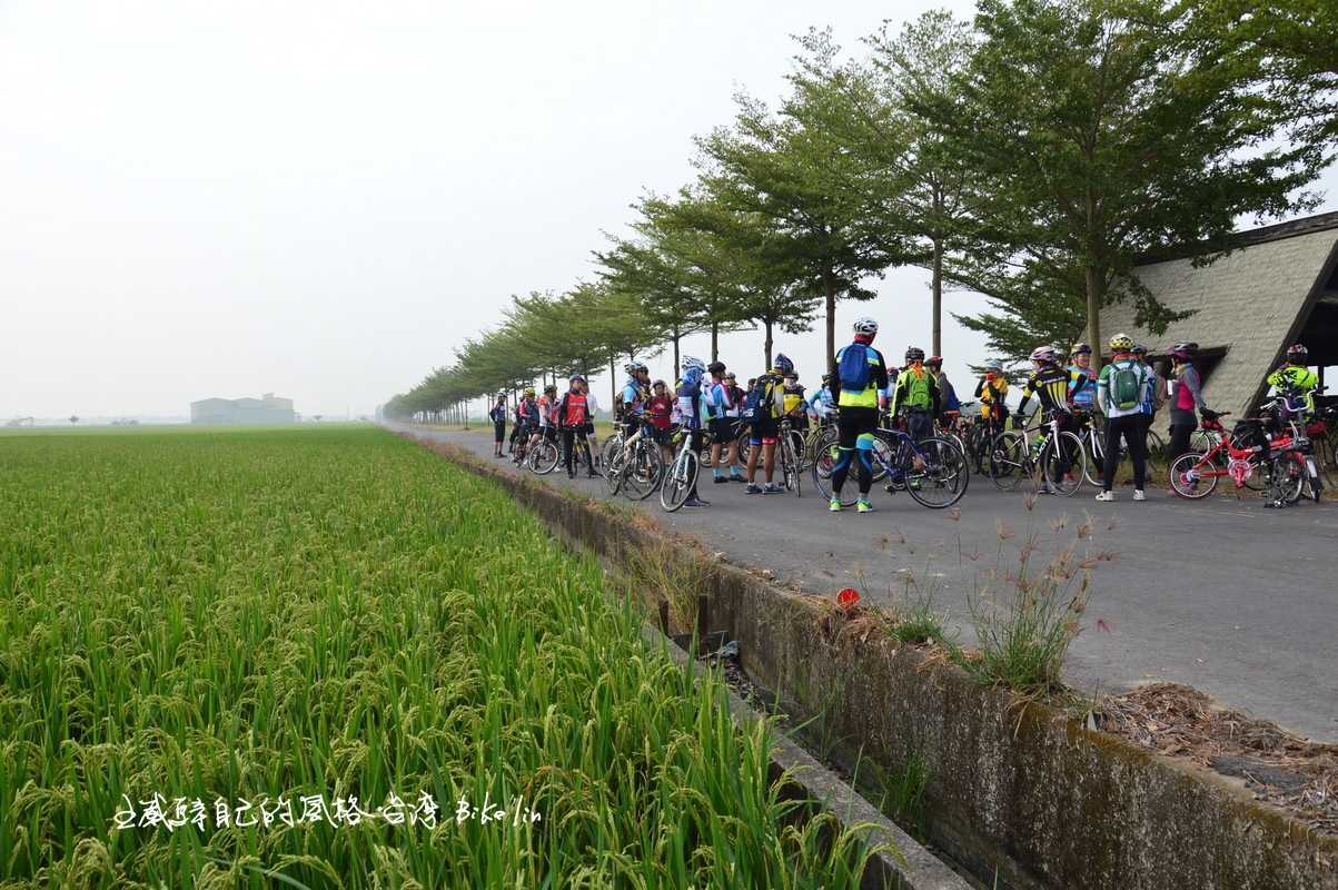 右後方不遠處,即將是2025年後壁烏樹林「臺灣三部曲歷史文化園區」