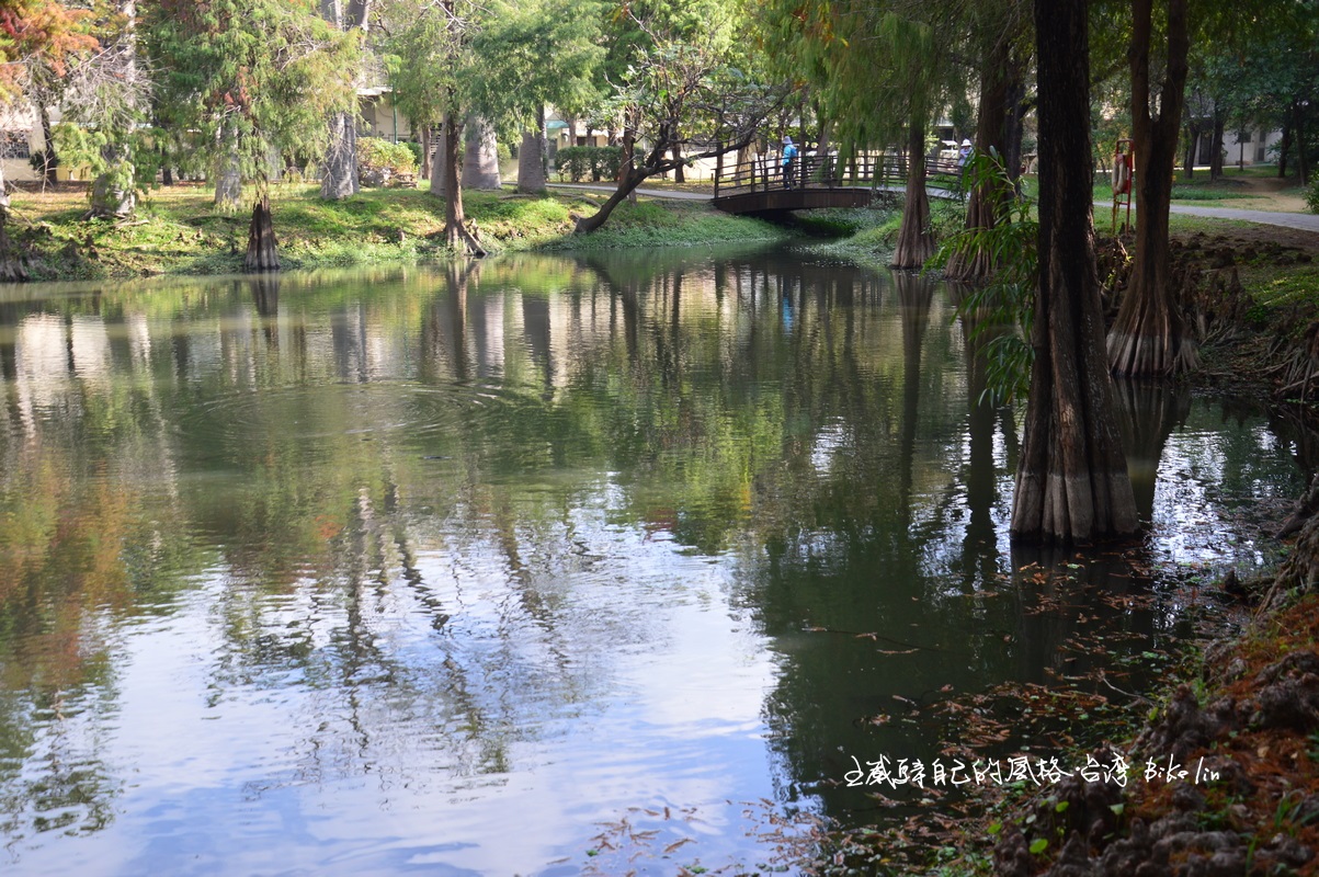 巴克禮公園
