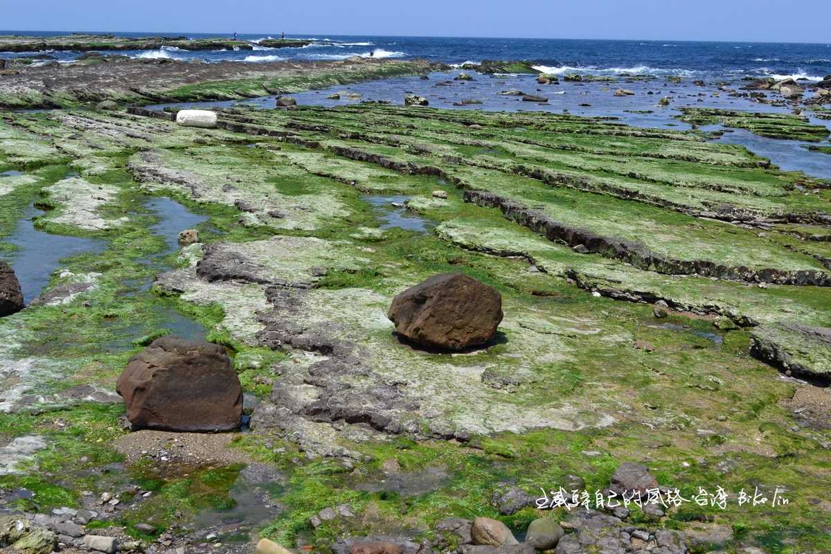 每年3月「馬崗潮間帶」綠藻礁，藍白綠色塊消長當下立見