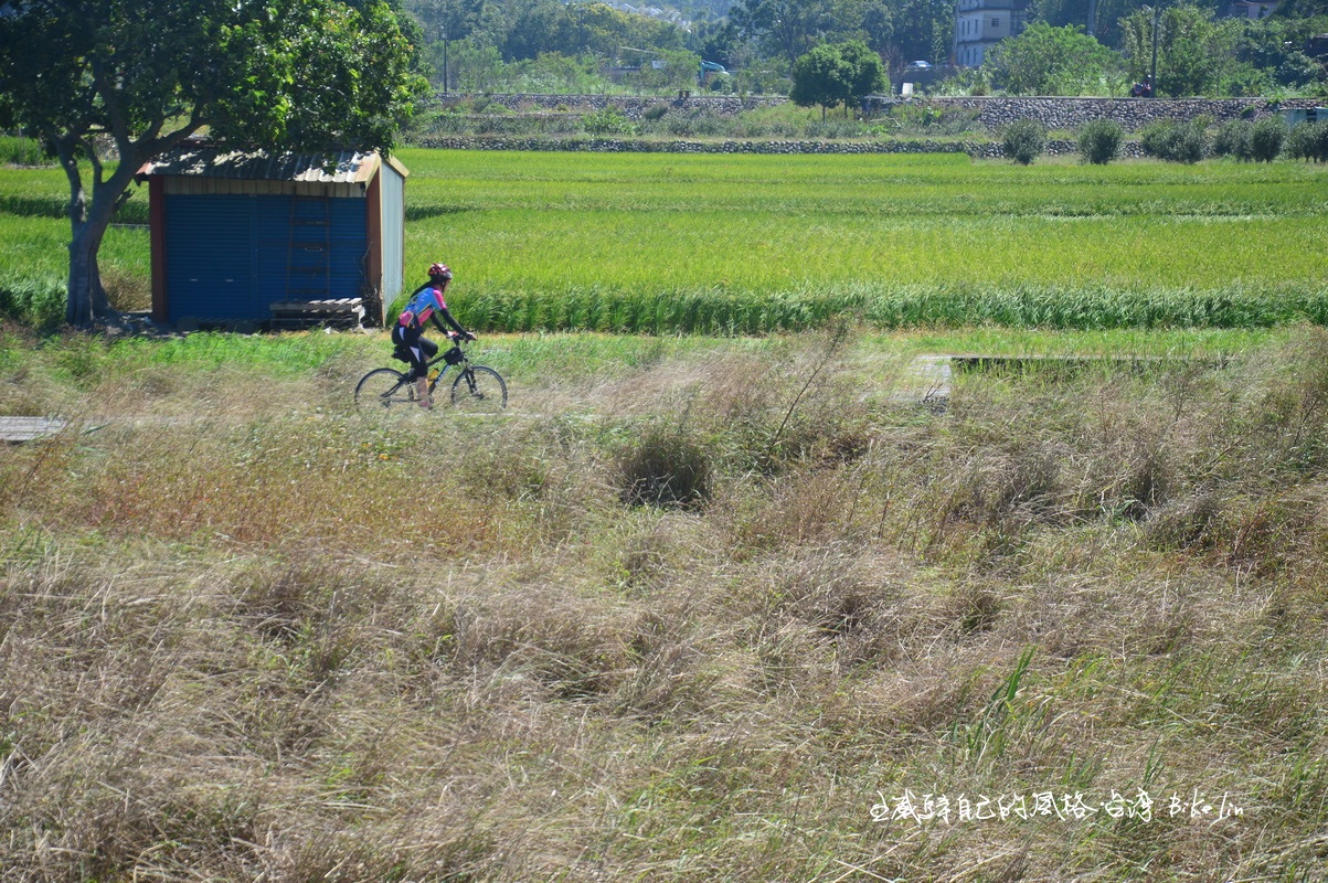 鄰近鳳山溪老鳳凰樹小徑美