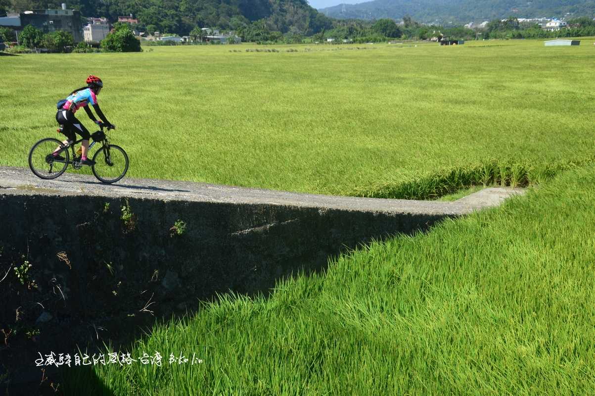 「上南片田野」一股魅人引力