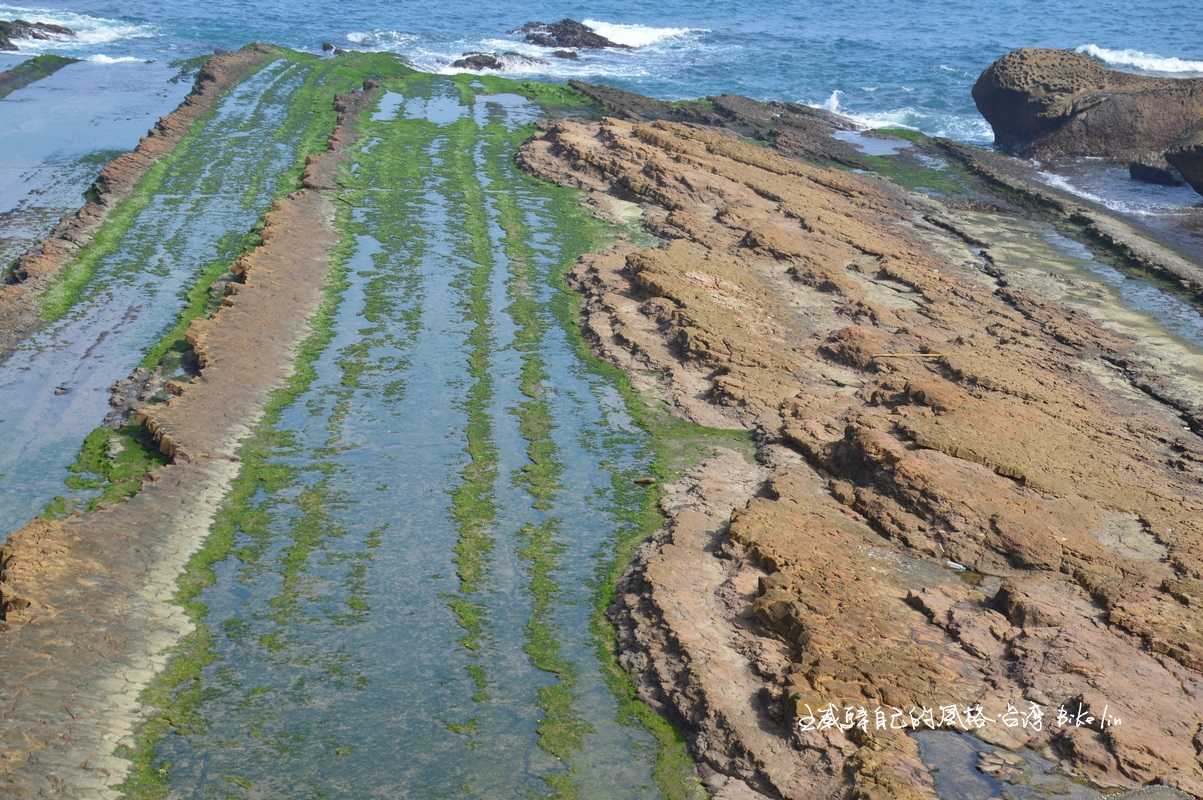 萬里海蝕岩岸