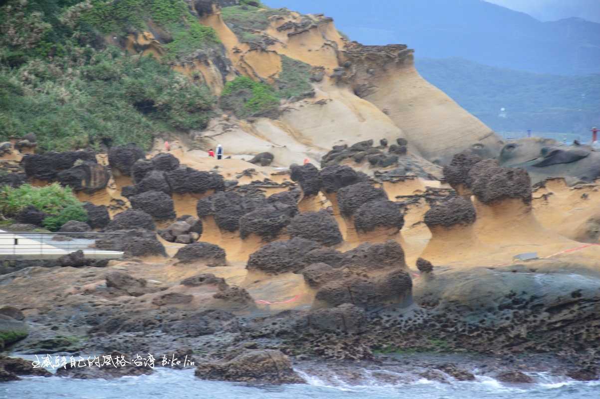 國寶級至少兩千萬年以上大寮層砂岩地質