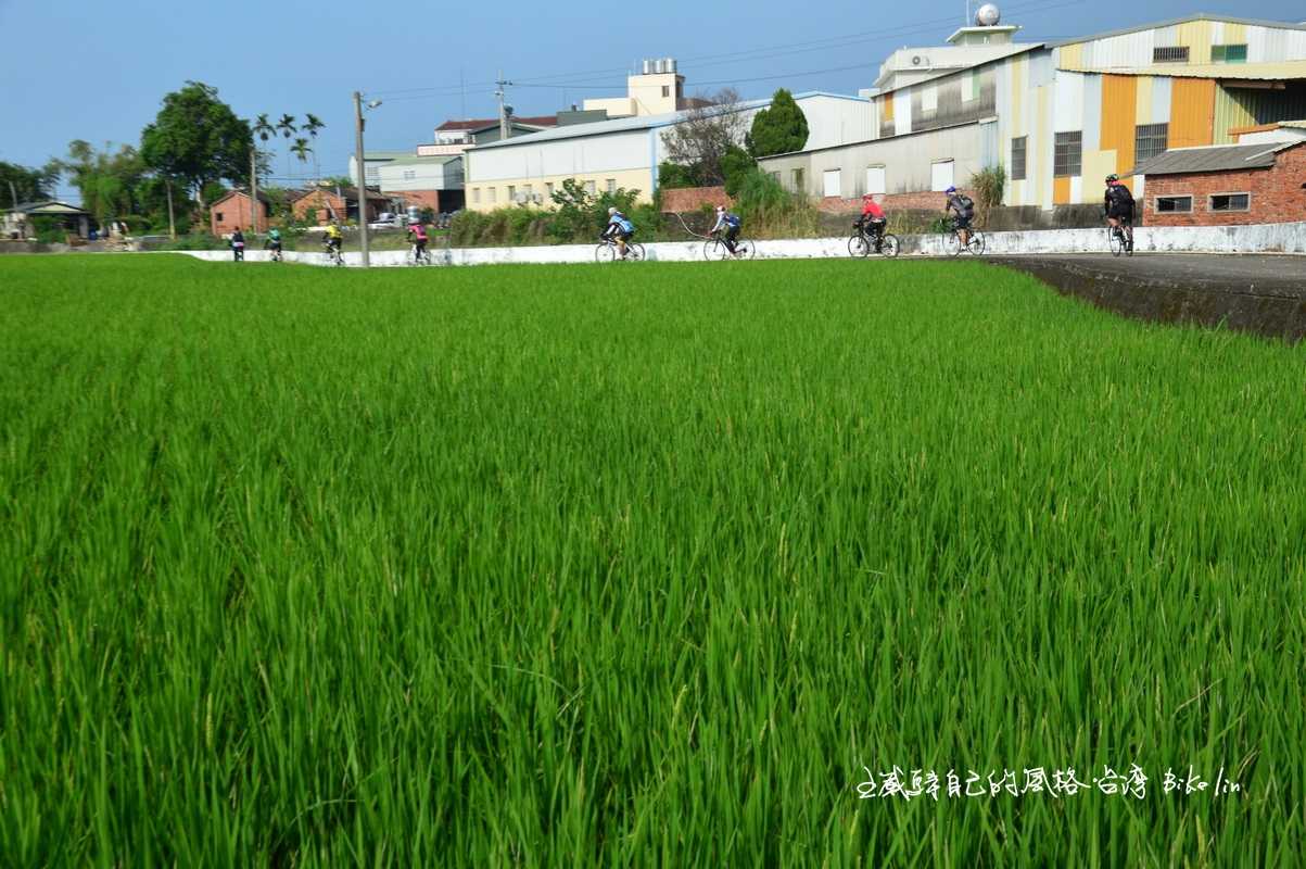 石埔田園風光