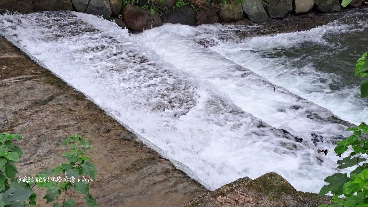 非假日三生步道「大坑溪水瀑」水文謐靜