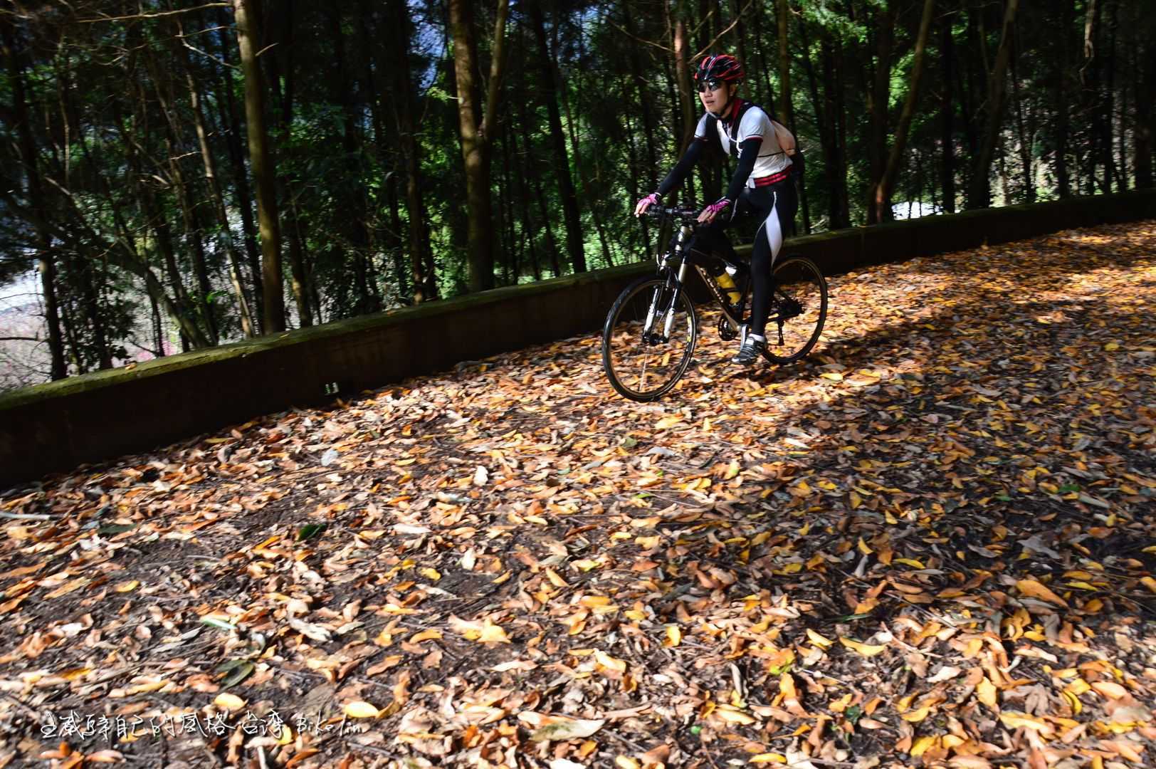 大貓Cycling 白冷圳・五感水文之旅