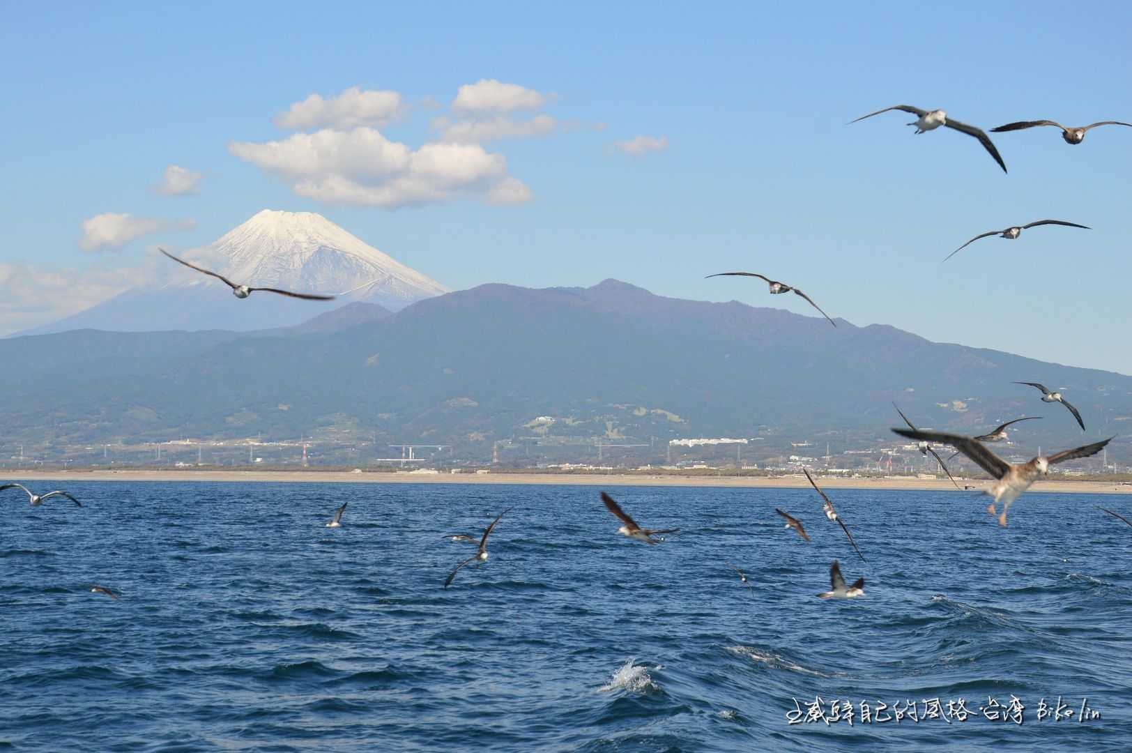 日本靜岡Cycling的決心