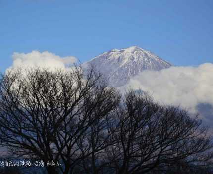 Cycling Japan Shizuoka