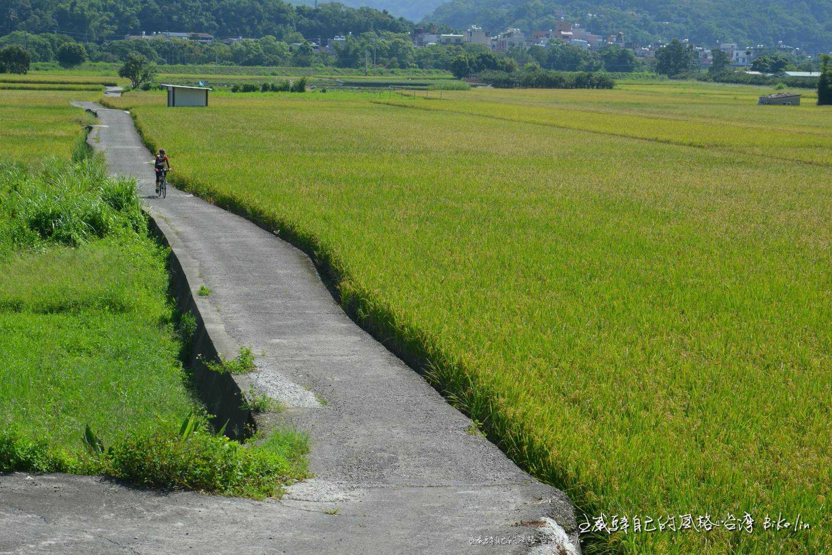 路線軌跡檔：新竹關西-新埔-芎林-竹東-北埔