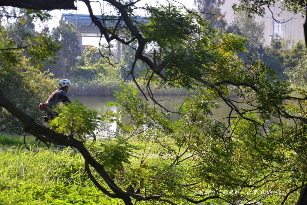 竹南濕地晨間舒服顏色