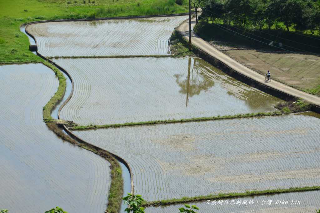 峨眉溪龜山「田野仙境」