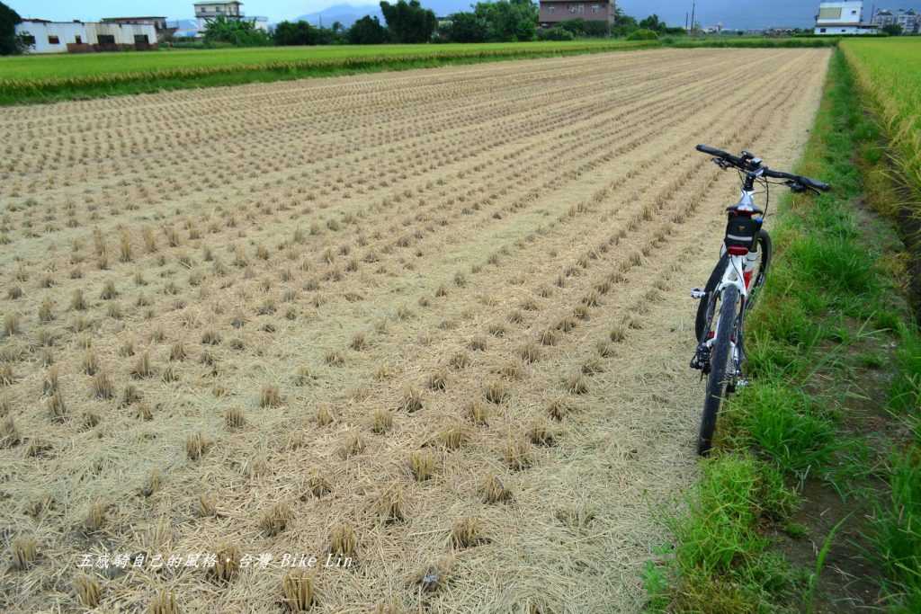 嗅聞剛收割完田野氣味