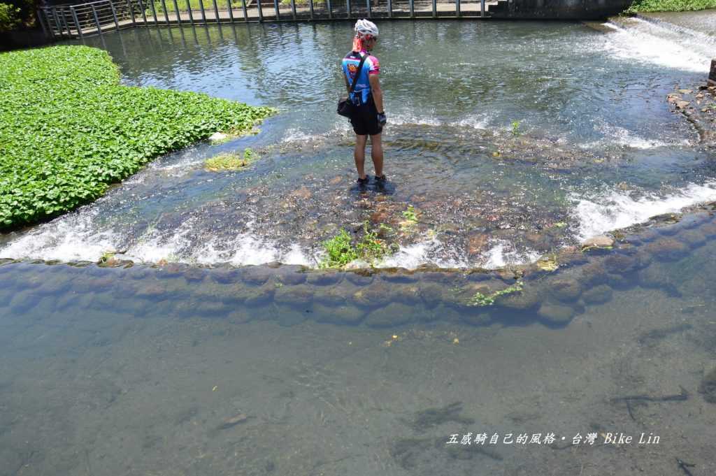 鼻仔頭圳公園