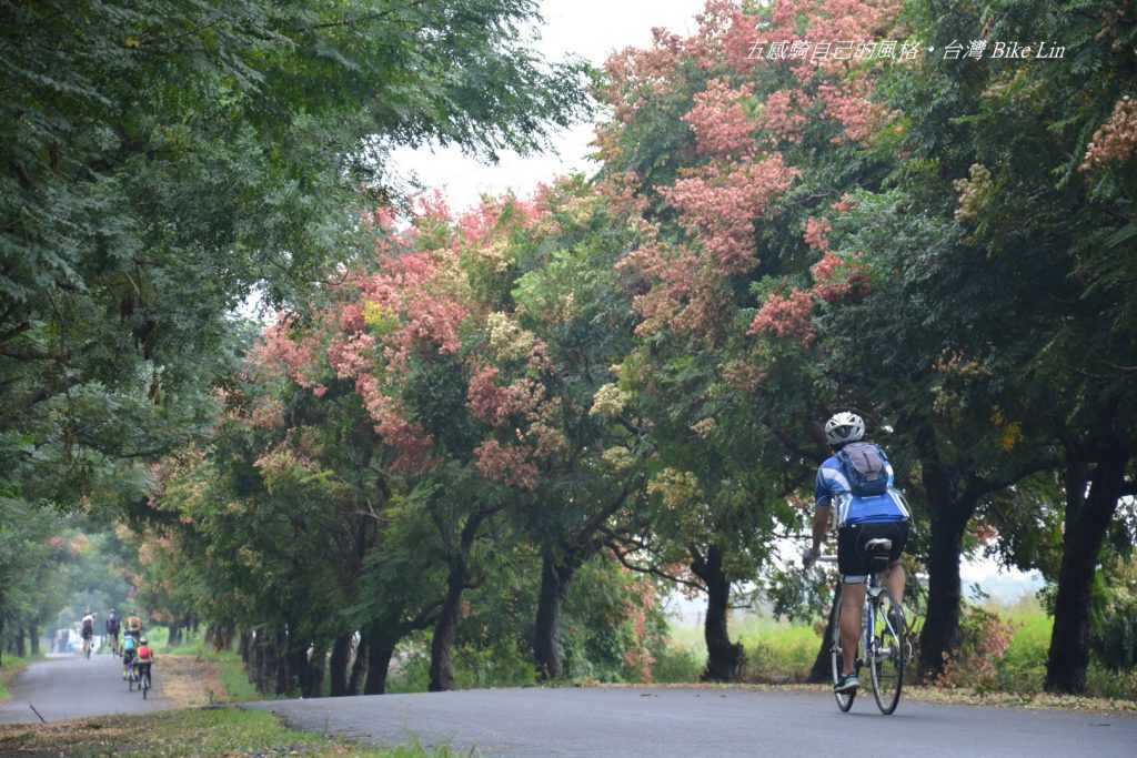 旅程難喬碰上賞花期