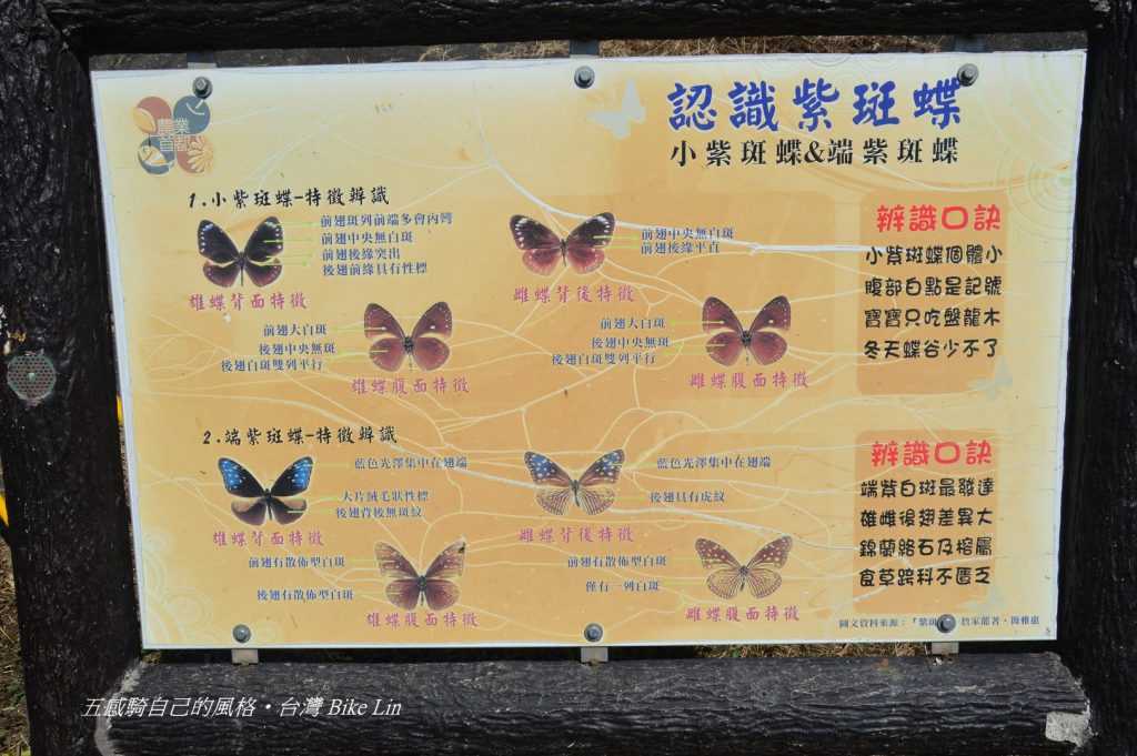 台灣蝴蝶通道