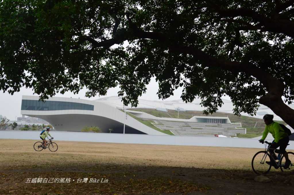 老樹下瞇著眼增添宏偉藝術中心綠意