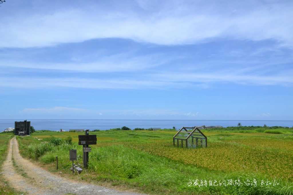 緊緊擁抱「米粑流海稻田」