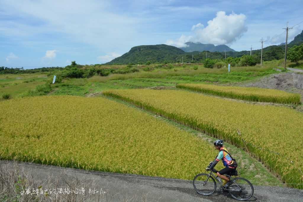 「巴拉峨巒溪自行車道」田野風光