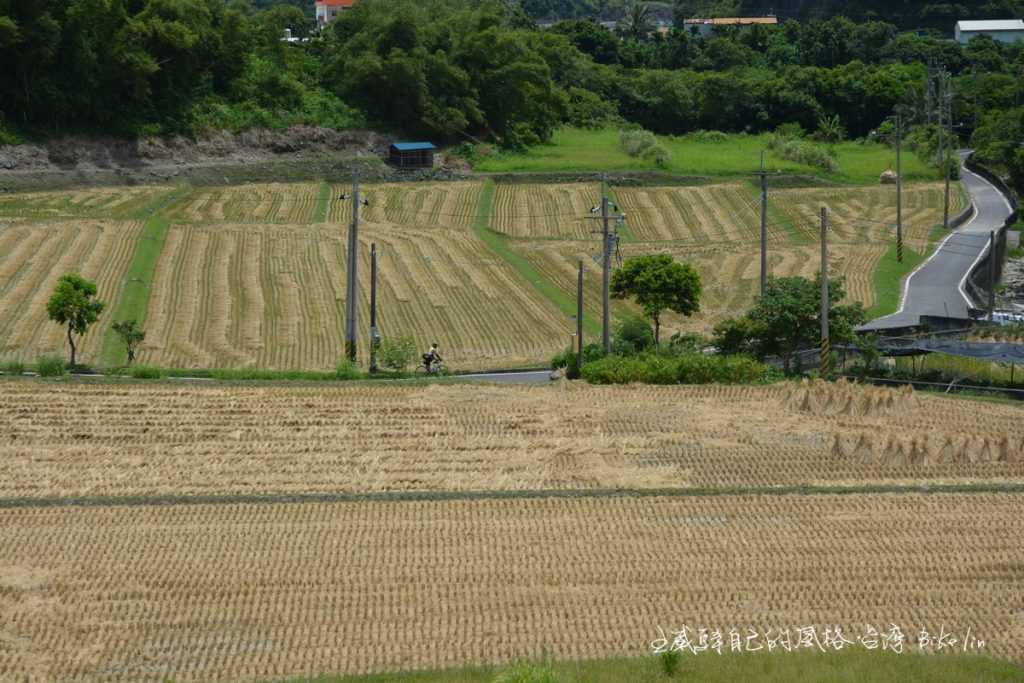 「靜埔田野」出落的美