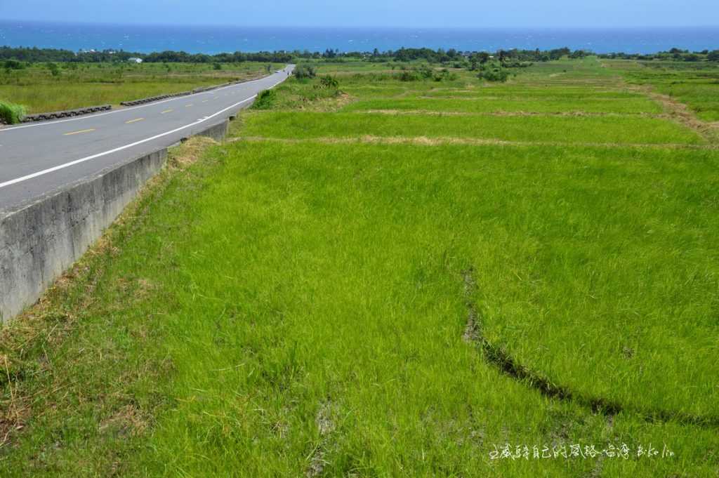 金剛大道開闊田野