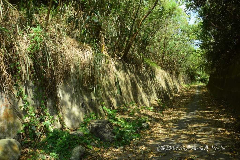 花蓮山狹小戰備道