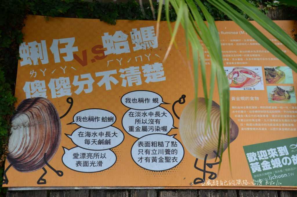 分清楚「蜊仔與蛤螞」立川小常識