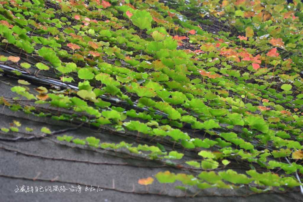 松園別館嶄新生命力