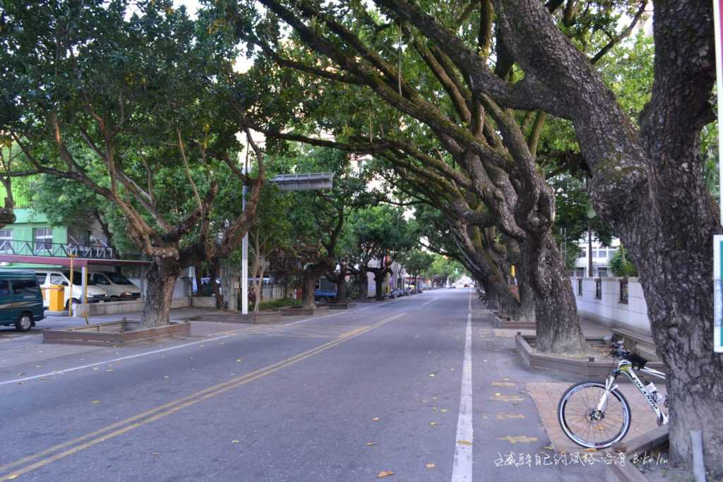 1909年種植瓊崖海棠綠色隧道