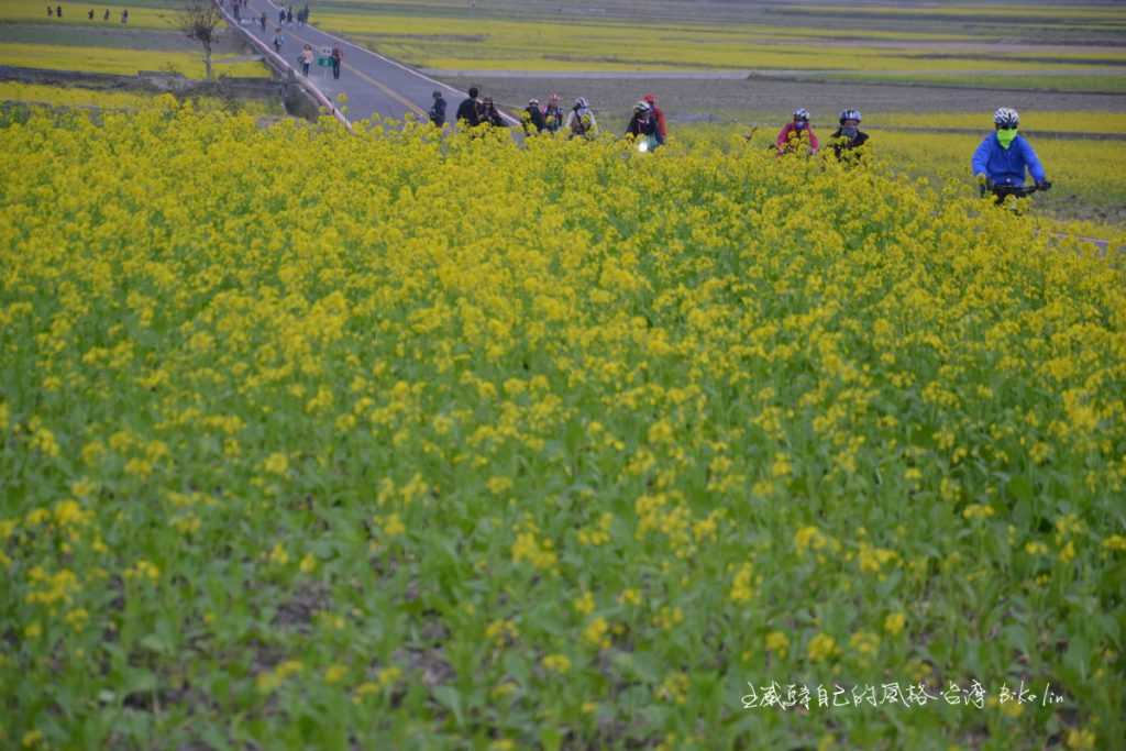 吞噬伯朗大道