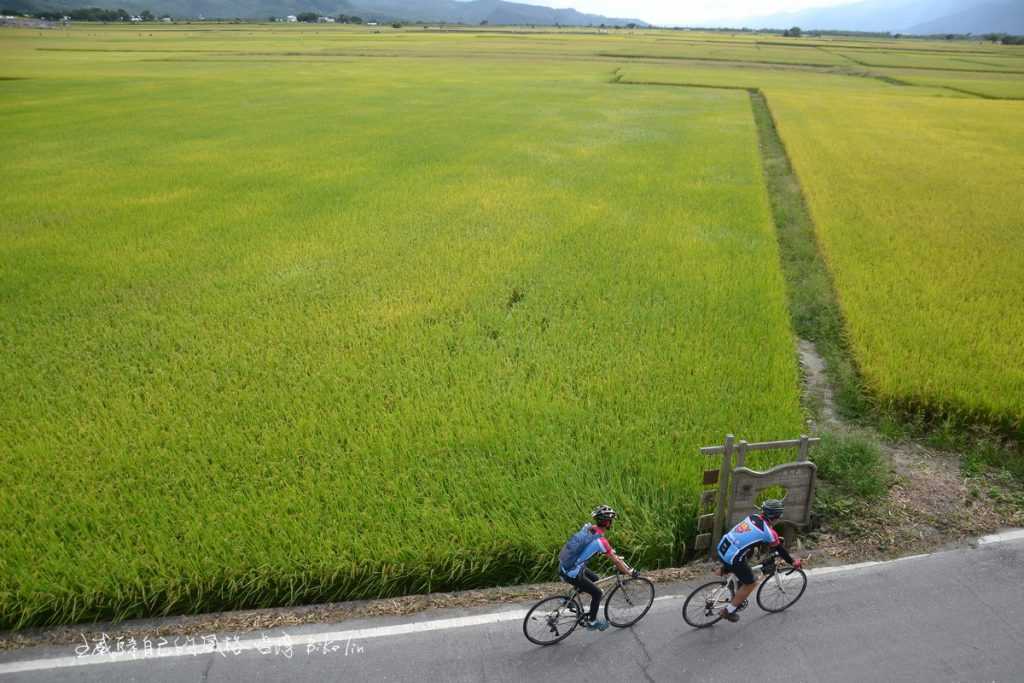 「池上之眼」大觀亭真實貼近俯覽