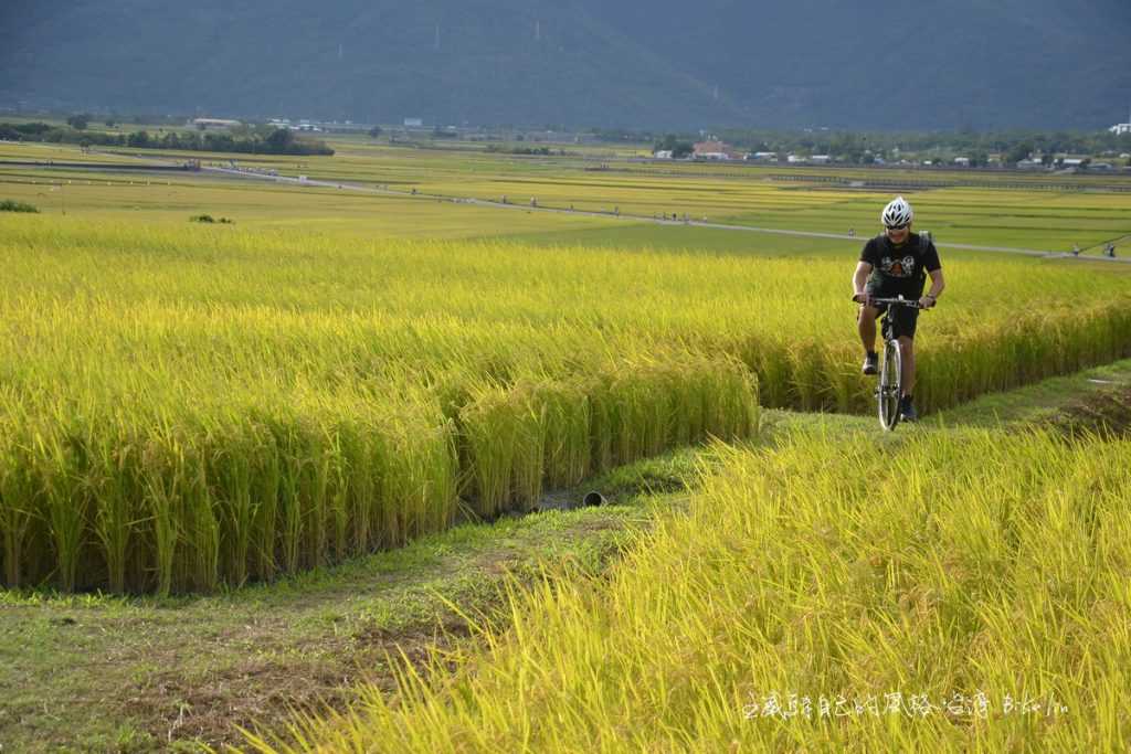 鎮宇說這才是「池上大道」啊！