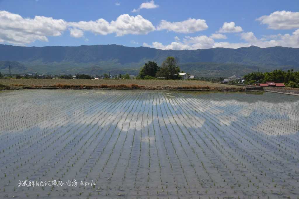 關山大圳田野