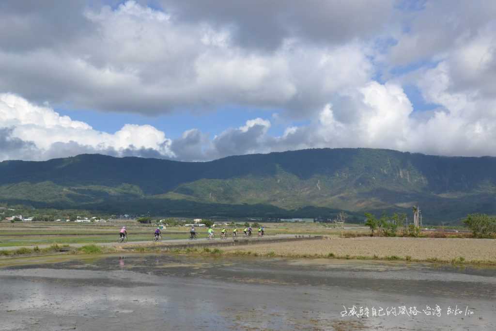 八月池上水田