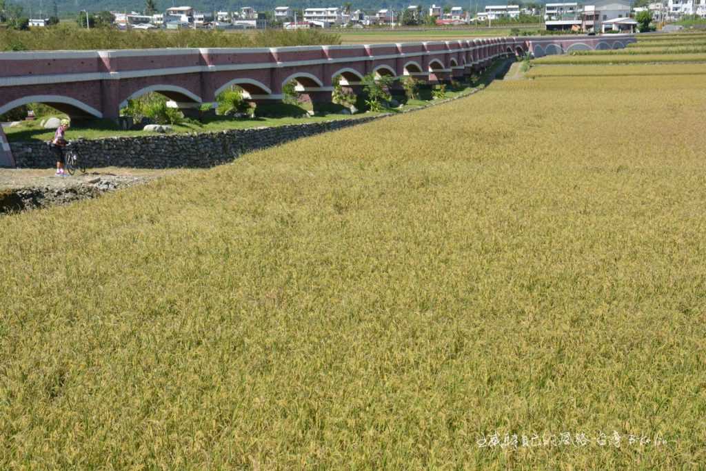 「二層坪水橋」金黃綠野  