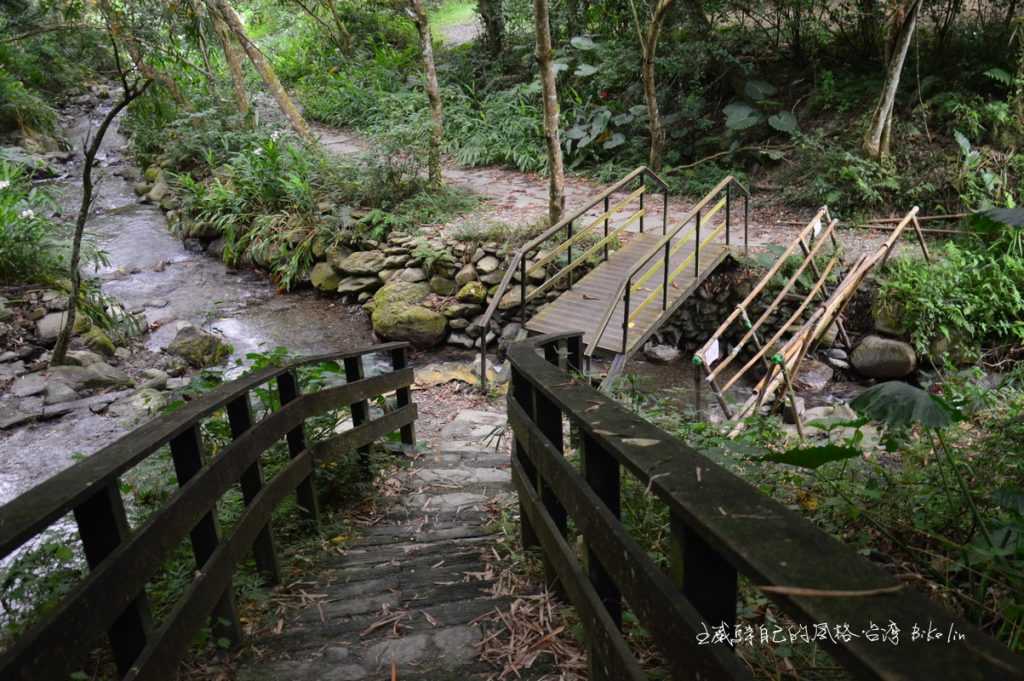 玉龍泉茶園生態步道