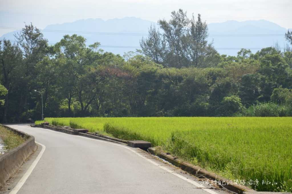 鹿野圳幹線田野