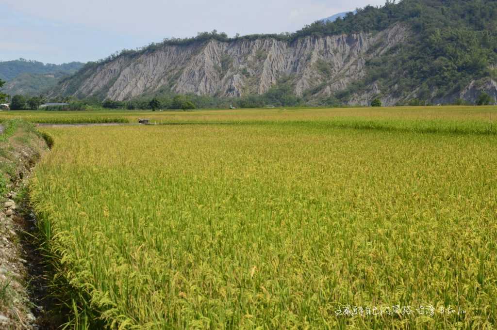 后湖鹿野小黃山