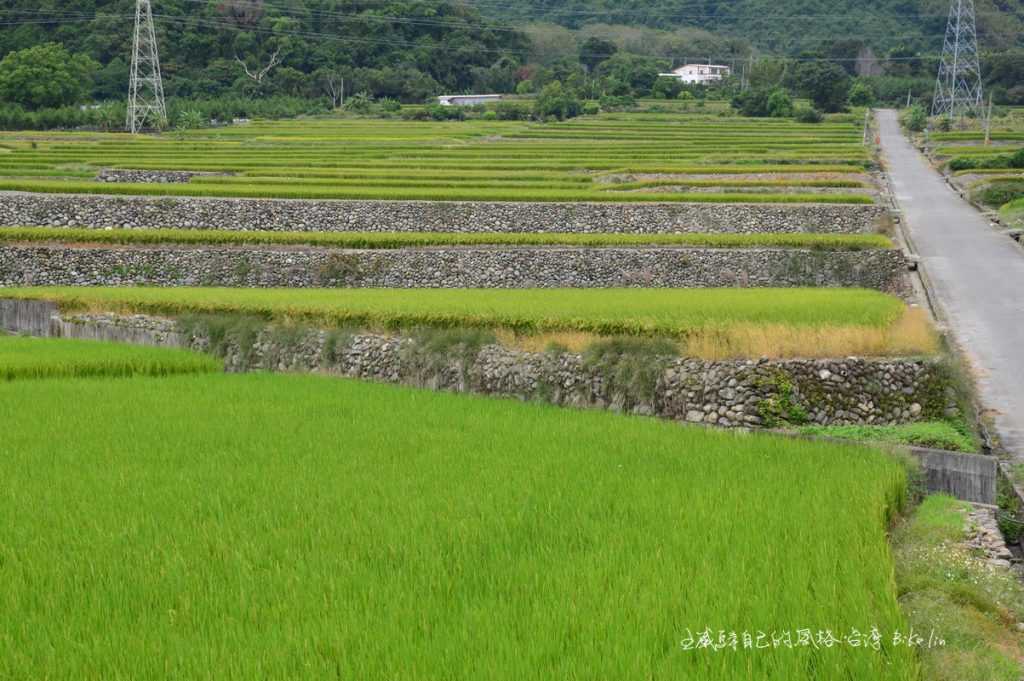  Greenfields綠野關山「鐵西、山富階梯田野」