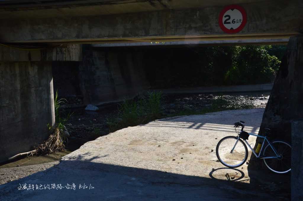 誘人光影