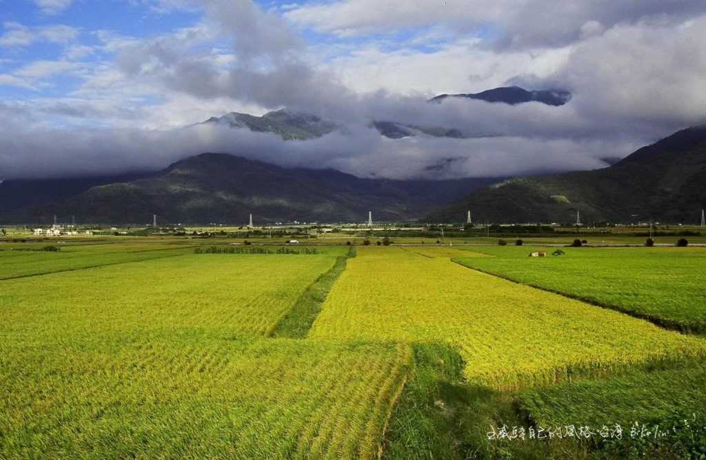 魅力池上田野