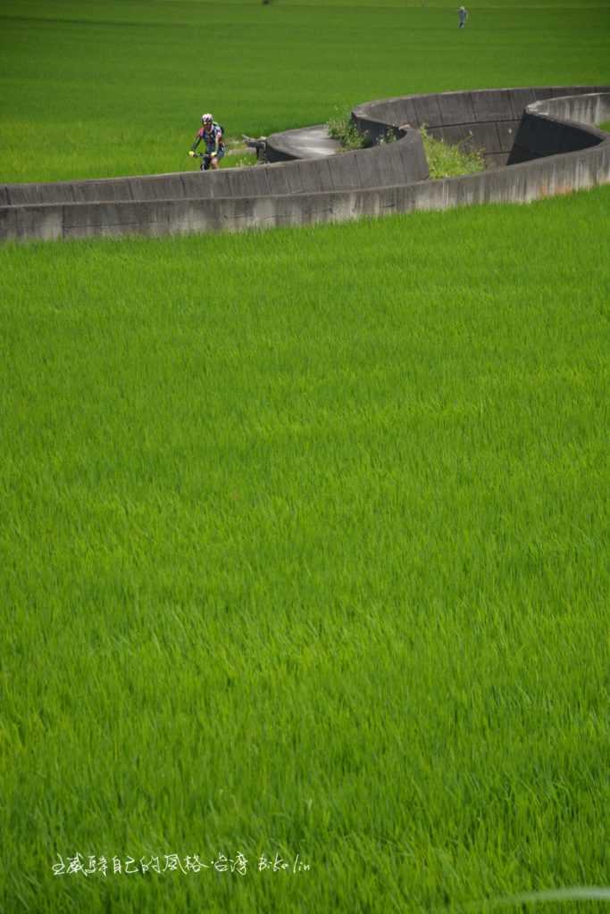 建佑甘心被綠淹沒