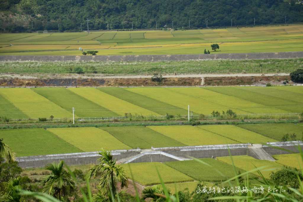 旅遊動線就在鐵道旁平行小徑  