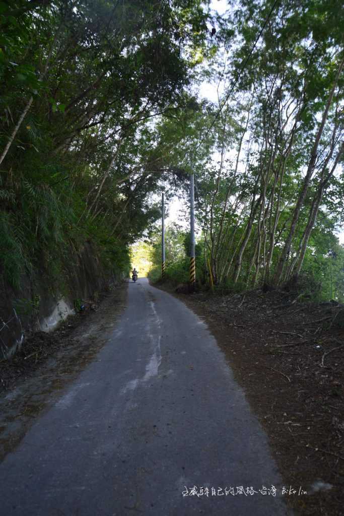 德武牛山產業道路坡頂