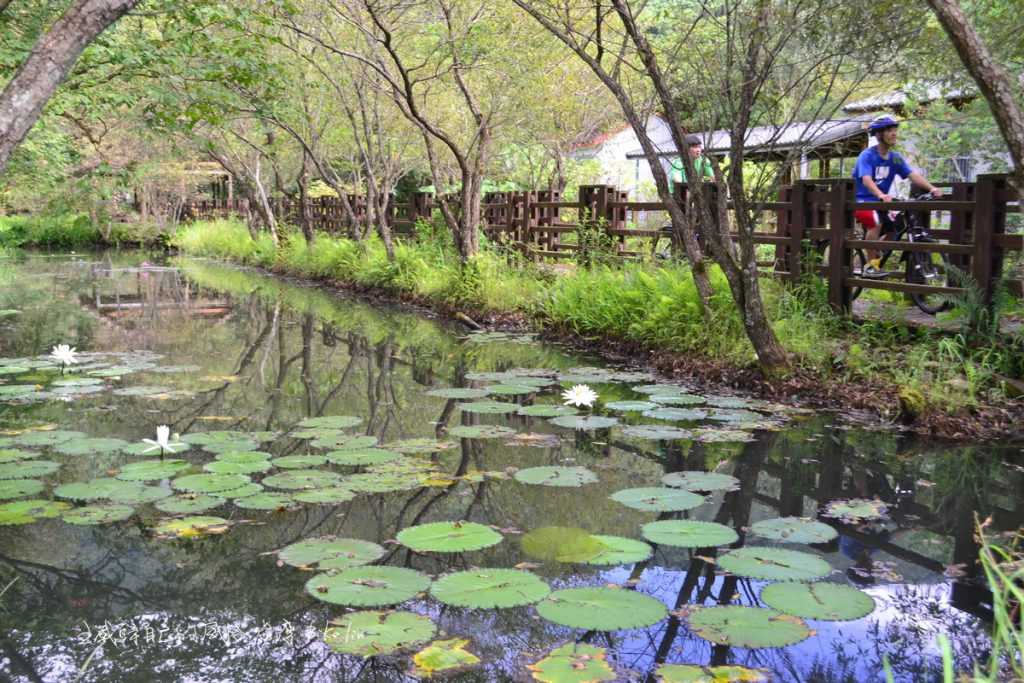 大安圳九支線木棧道