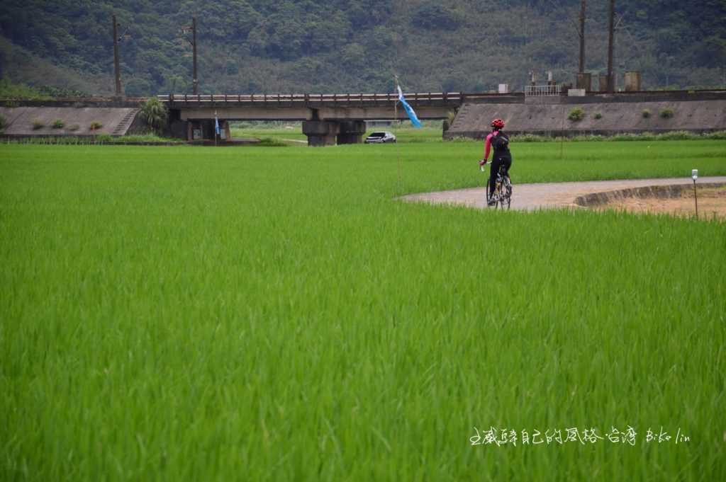 田寮洋濕地賞火車