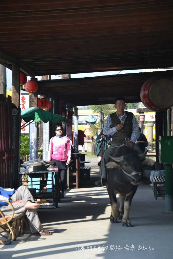 「頂菜園鄉土文物館」牛哥巡禮