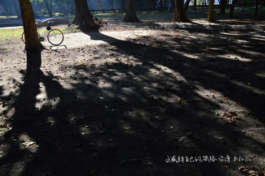 入眼的光影下「朴子藝術公園」