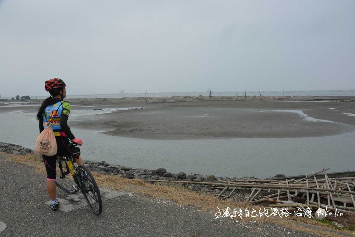 從不是湖的「白水湖」堤岸，賞覽也不是島的「壽島」近岸沙洲